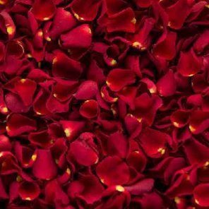 Rose Petals (500 gms)